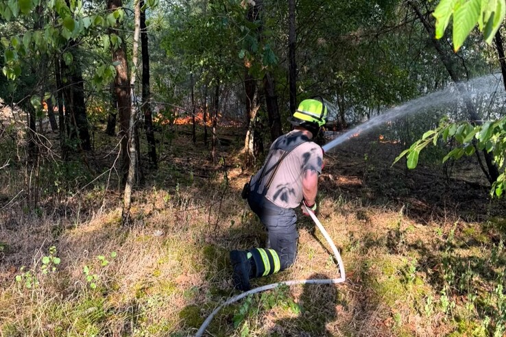Waldbrand, Verkehrsunfall, abgebrochene Baumkrone - viele Einsätze seit Mittwochnachmittag