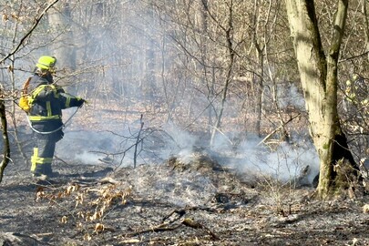 Viel Sonne und Trockenheit: Gestiegene Waldbrandgefahr auch rund um Neu-Isenburg